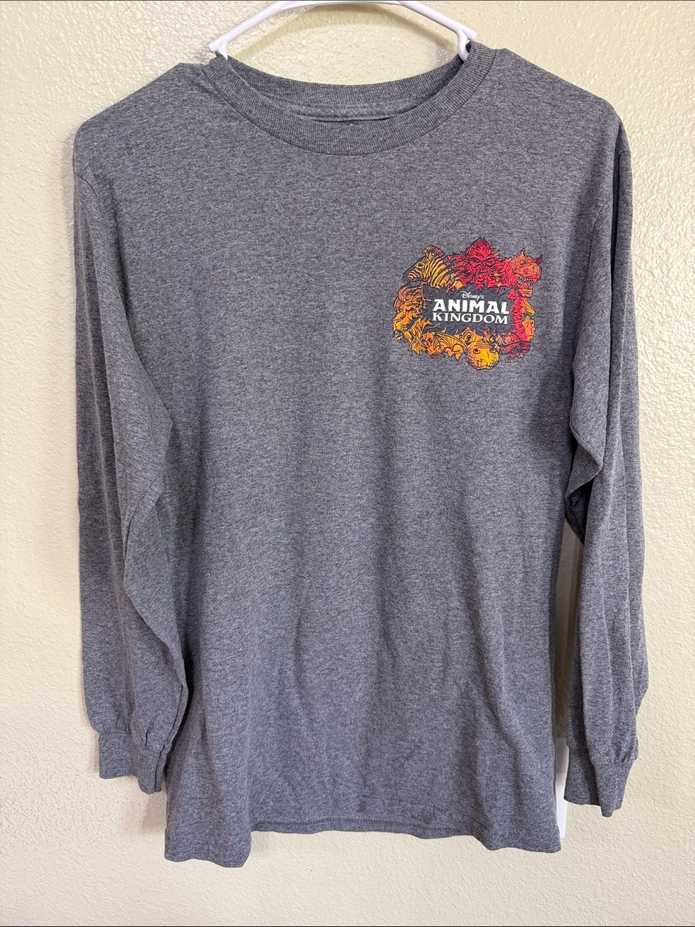 Disney Gray Long Sleeve Tee with Colorful 'Wild About Adventure' Graphic